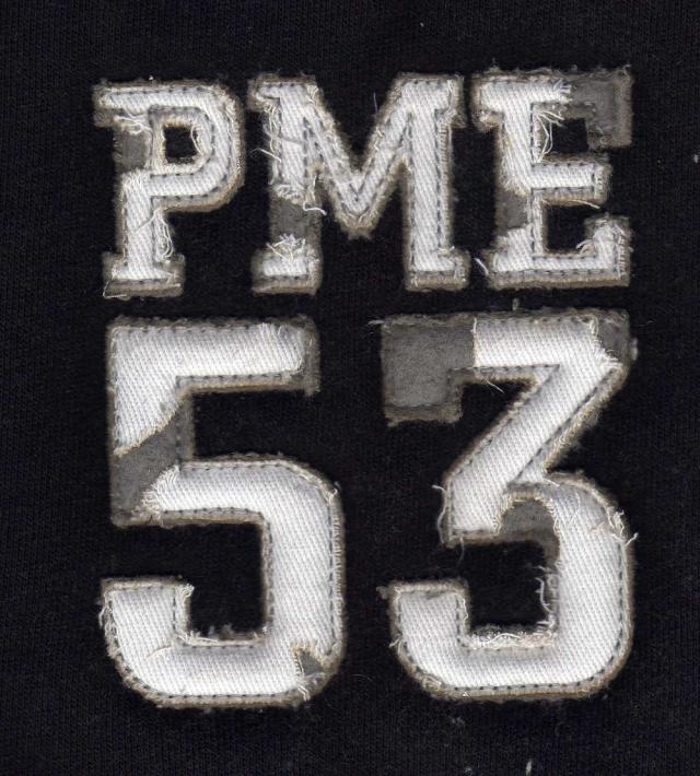 PME 53